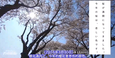 图：《奇迹体验》