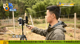 厉害了,农民版“李佳琪”!直接在田间直播带货!