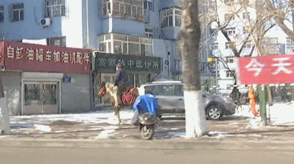 黑龙江齐齐哈尔男子骑马上街买菜 被交警劝返