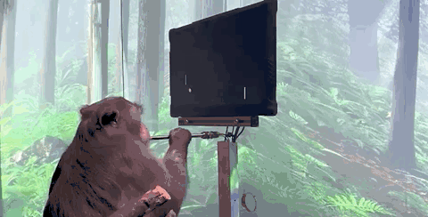 Pager正在玩“意念乒乓球”游戏｜视频截图