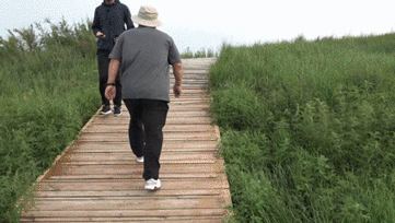 宝力格正在工作。马知远 摄