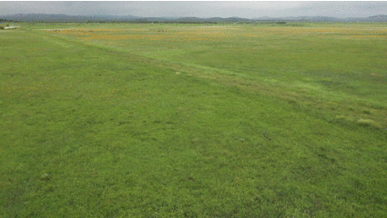 金莲川草原俯瞰。广袤草原的守护离不开当地的牧民百姓。刘长永 摄