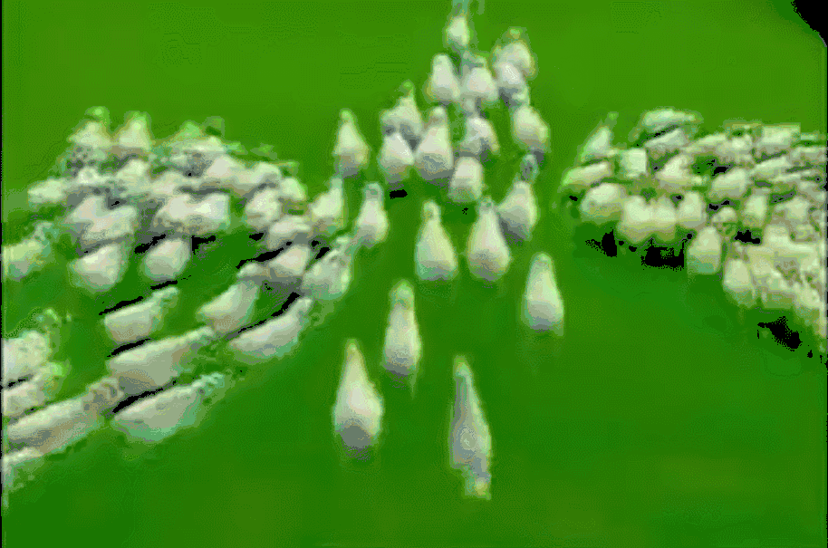 试问谁能不被“羊羊羊”洗脑呢？图片来源：恒源祥广告片。链接：https://www.bilibili.com/video/BV1ZC4y1a7nM