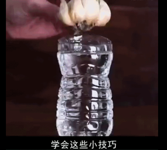 中国人血脉中的种菜情节