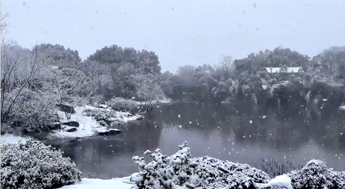 ▲杭州花圃。莫烨犇 摄