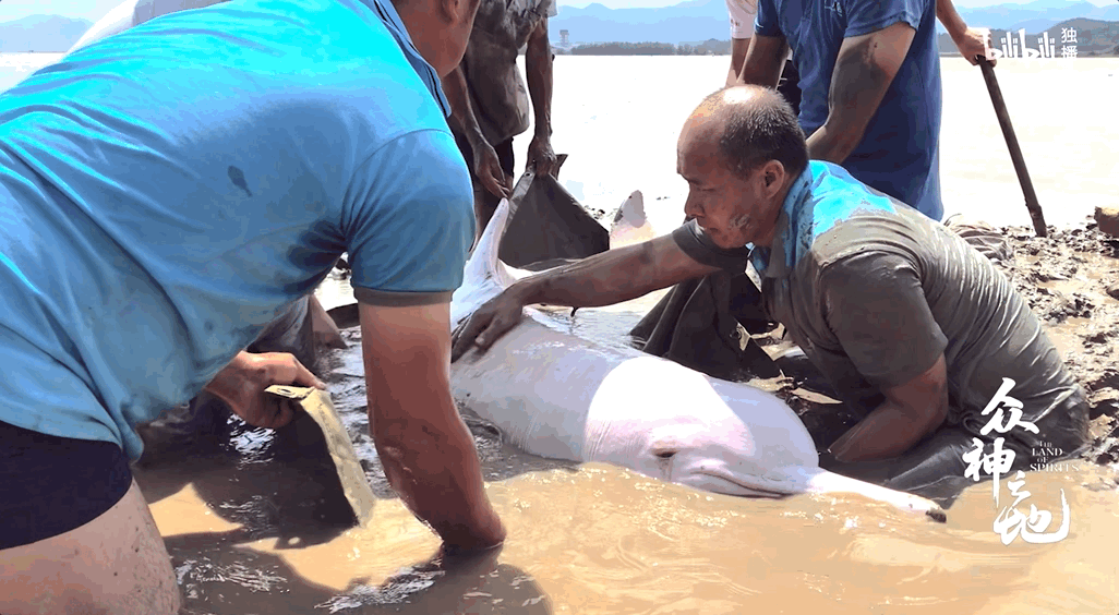 下午三点，终于，潮来了。