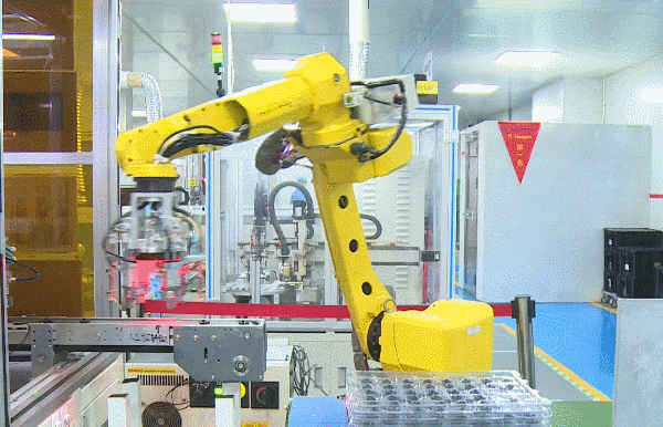 △图源高要发布