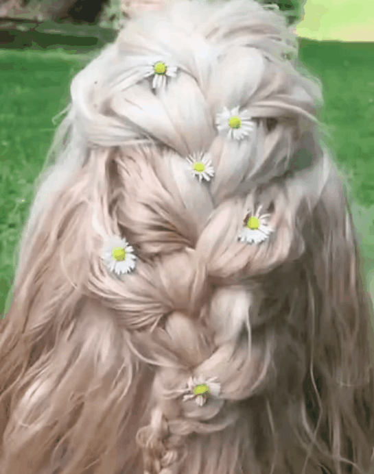 图片来源：网络