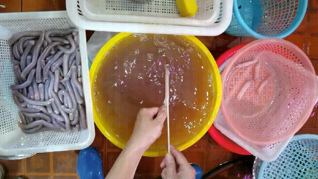 清洗沙虫。林日清 摄