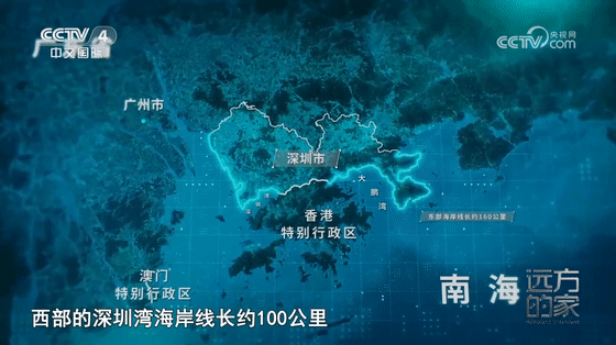 深圳湾，真的“脏”吗？
