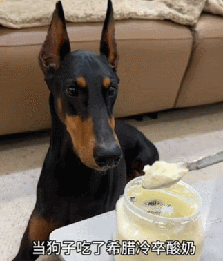 图源：@杜宾安妮