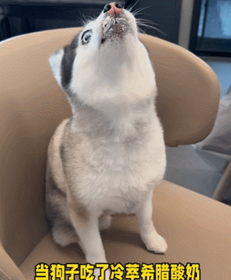 图源：@卡哇伊是博士奇