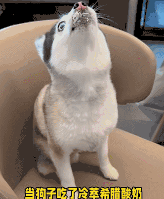 图源：@卡哇伊是博士奇