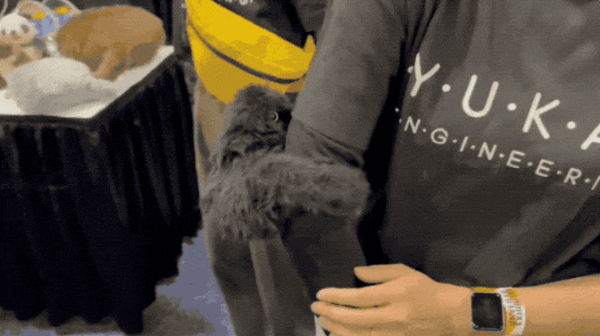 图片来源：X 账户 日テレR&Dラボ