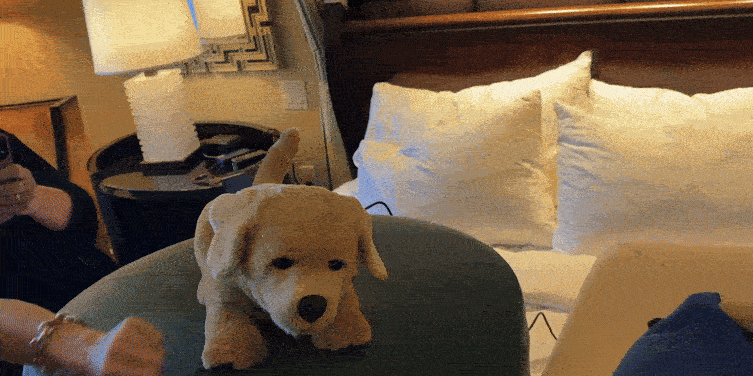 图来源于网络：Tombot宠物狗机器人