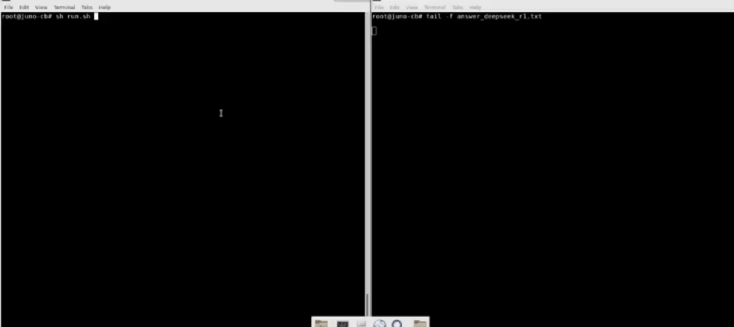 新一代“周易”NPU处理器运行DeepSeek-R1模型效果演示