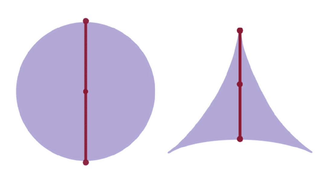 △图源：Merrill Sherman|Quanta