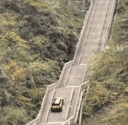 𸴿·ɽ ﳵײϻӦοʱϲ