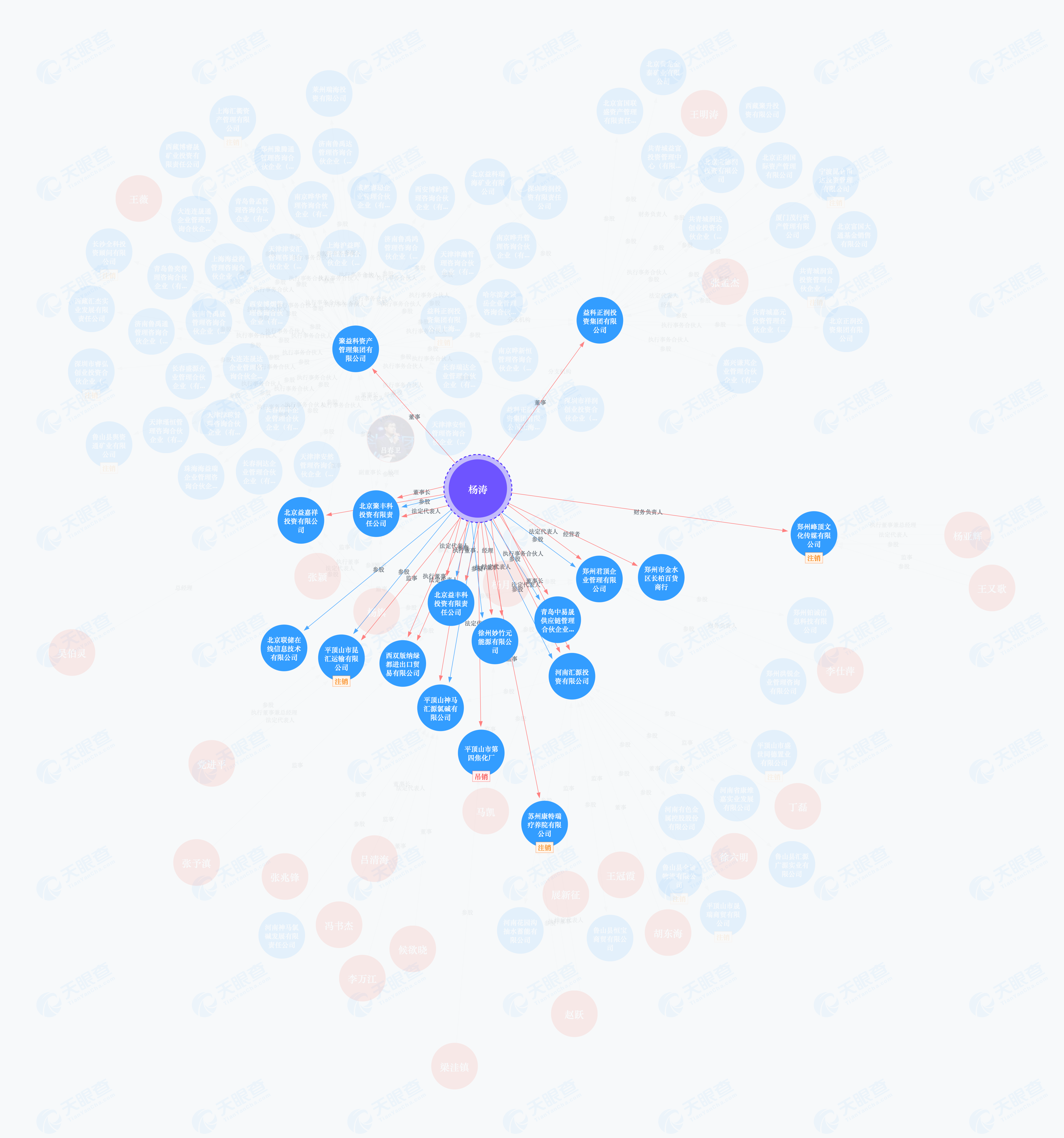 杨涛企业关系 图源：天眼查