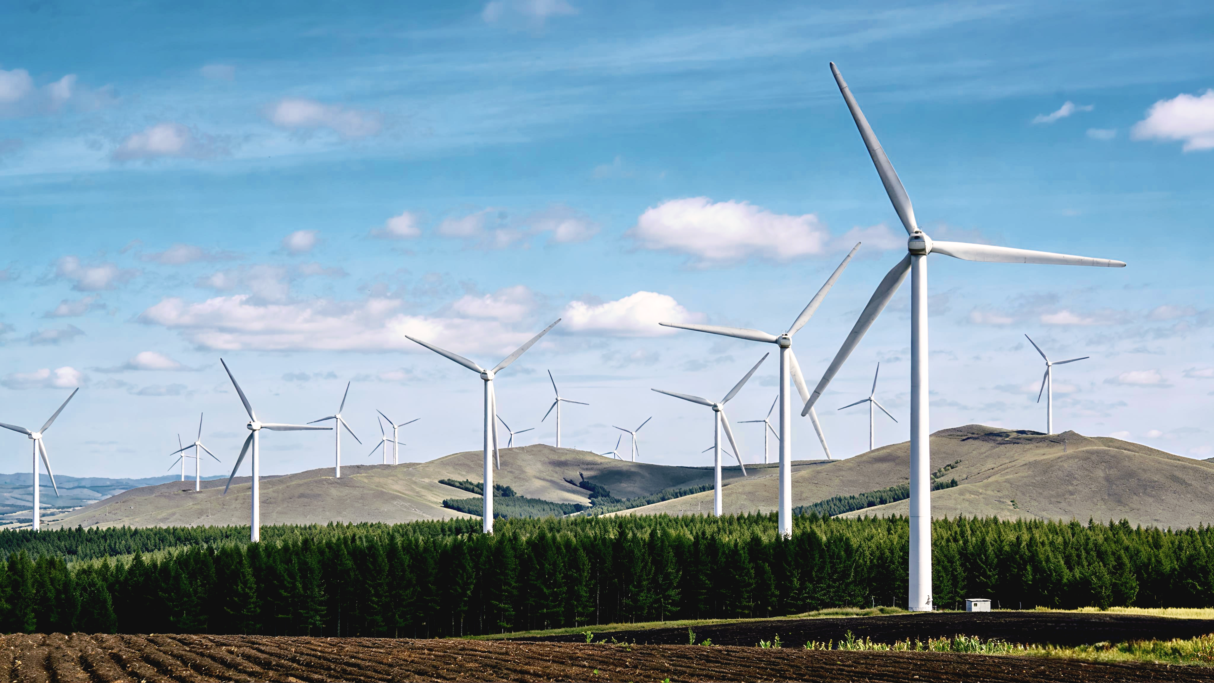 �������к�����ʡ������ɫ�Ŵ�֧�ֵķ����Ŀ