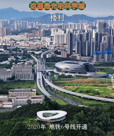 图源：视频号“光明大昌”