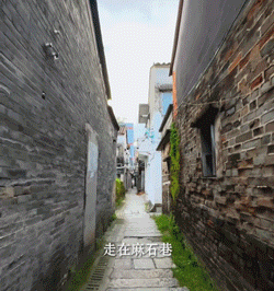 图源：视频号“光明大昌”