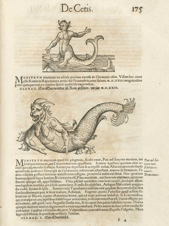  ▲瑞士博物学家康拉德·格斯纳（Gonrad Gessner 1516-1565）的巨著《动物史》（Historiae animalium）被认为是动物学研究的起源制之作，但书中也有对大型海洋哺乳动物不靠谱的描述。（来源：nlm.nih.gov）
