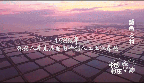 大奖888最新网址|在城市里开马自达CX-5,人马合一能呼应上么?