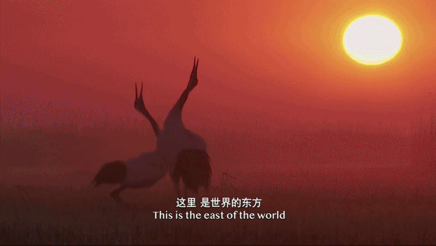 最佳娱乐场官方网站_赛博朋克2077提前57年!明年4月16日发售 售价298元还有中文语音