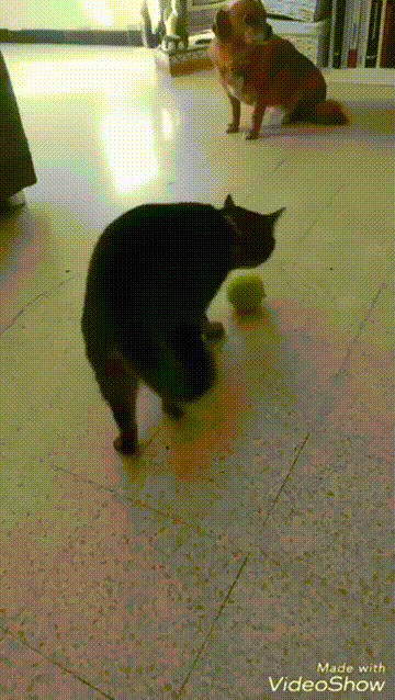 ҵĲҪ˵ǫ̂߳ܵ ͼ ȸ