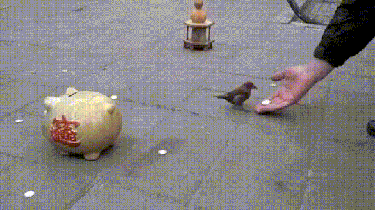 һѿþ ͼ ӳжߣ