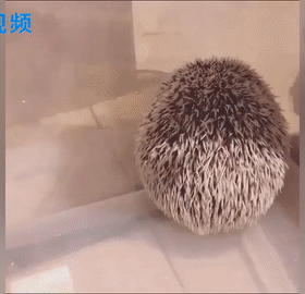 һѿþ ͼ ӳжߣ