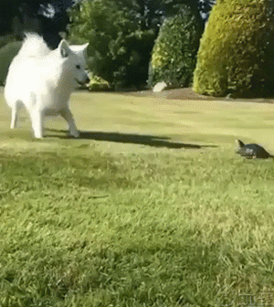 ٶӵӹȻ ͼٳɻ˽һ£