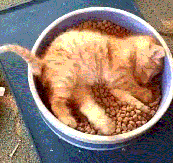 һھͷ ͼ ֱһ