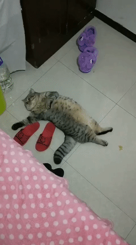 š69ڣ ǷǺܿµ