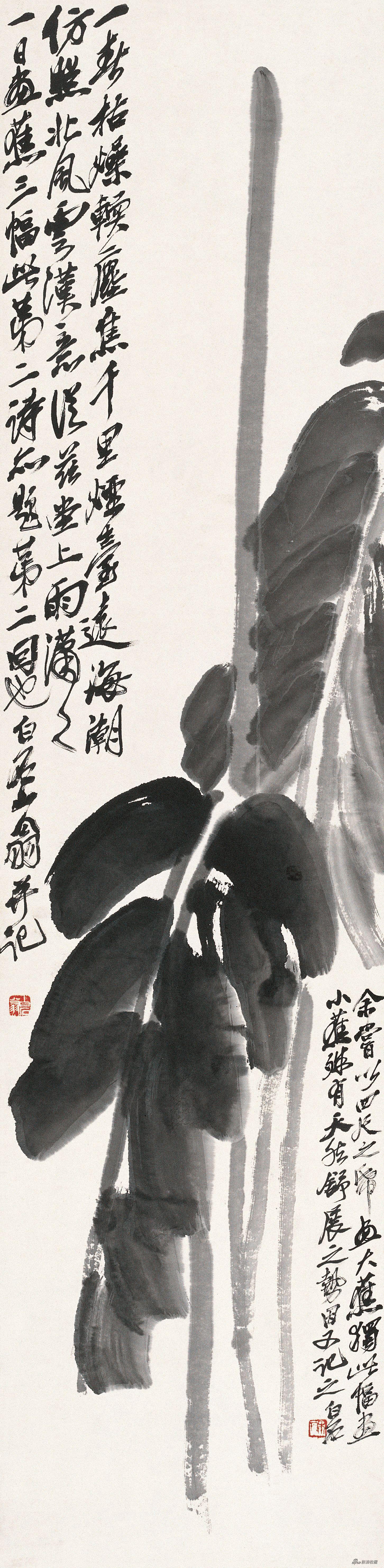 芭蕉图 齐白石 135cm×33.5cm 纸本水墨 无年款 北京画院藏