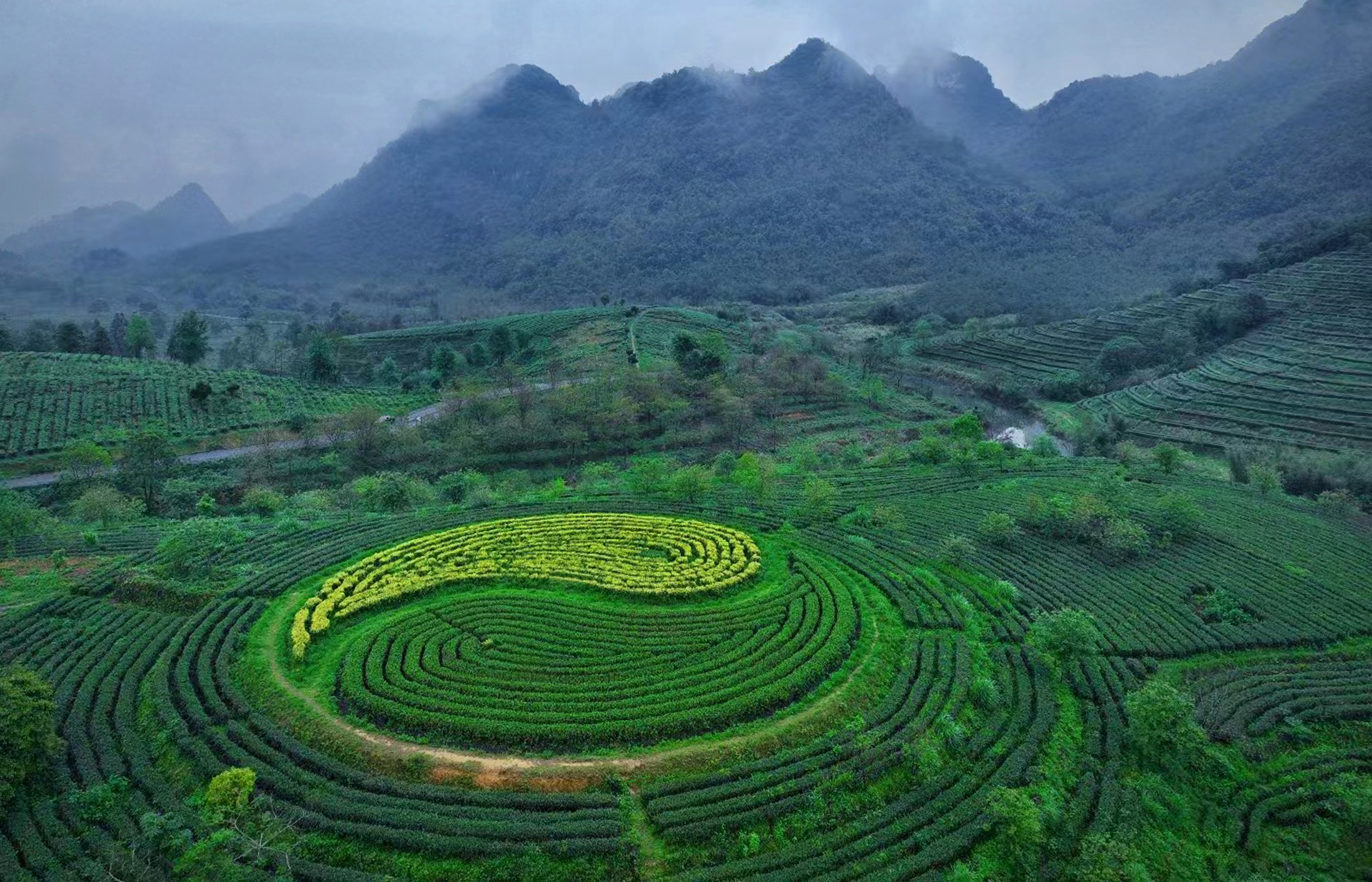 积庆里红茶谷秀丽风光