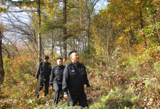 两级森林公安机关全员在岗守护国庆期间延边林区和谐安宁