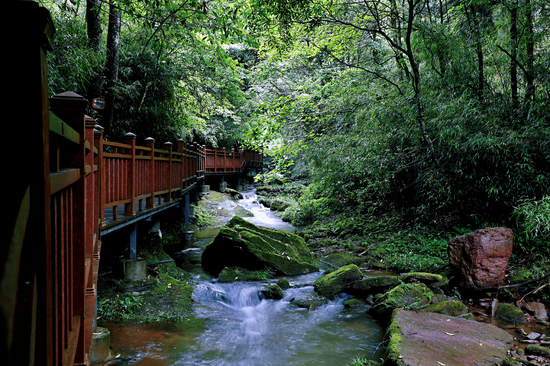 身心不二处,五马归心谷,从青山变成了"金山"