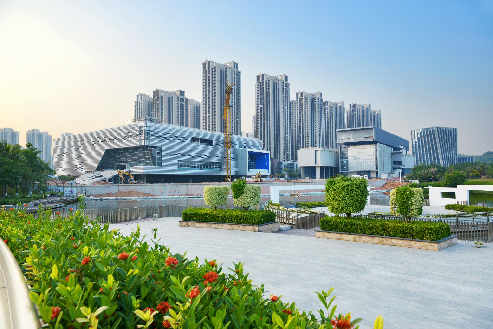 为了记录坪山区波澜壮阔的发展历程,展现出城区的发展变化,特别组织