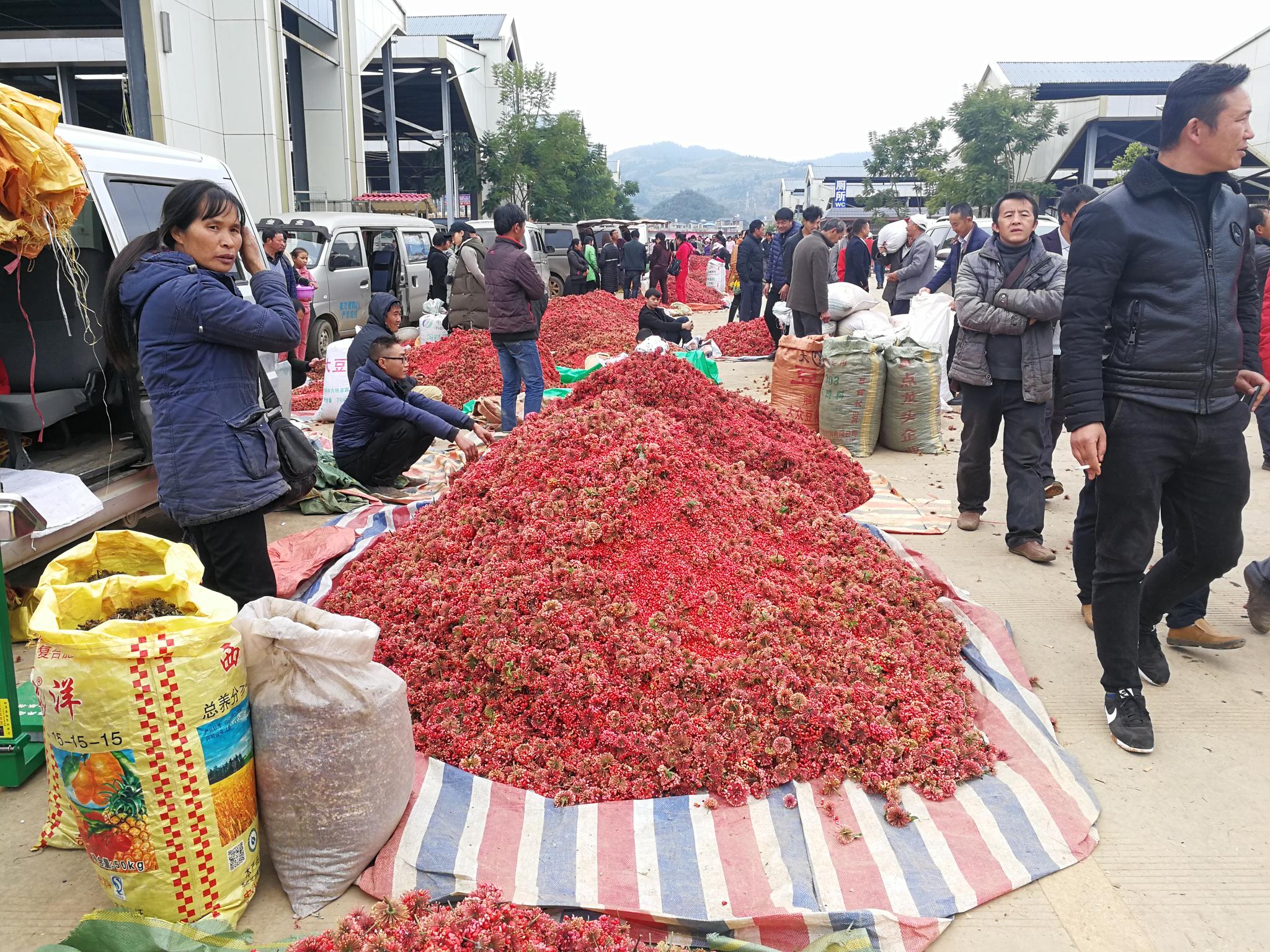 农民摆摊卖农产品,一堆十几万元,交易火爆|交易|农产品|农民_新浪新闻