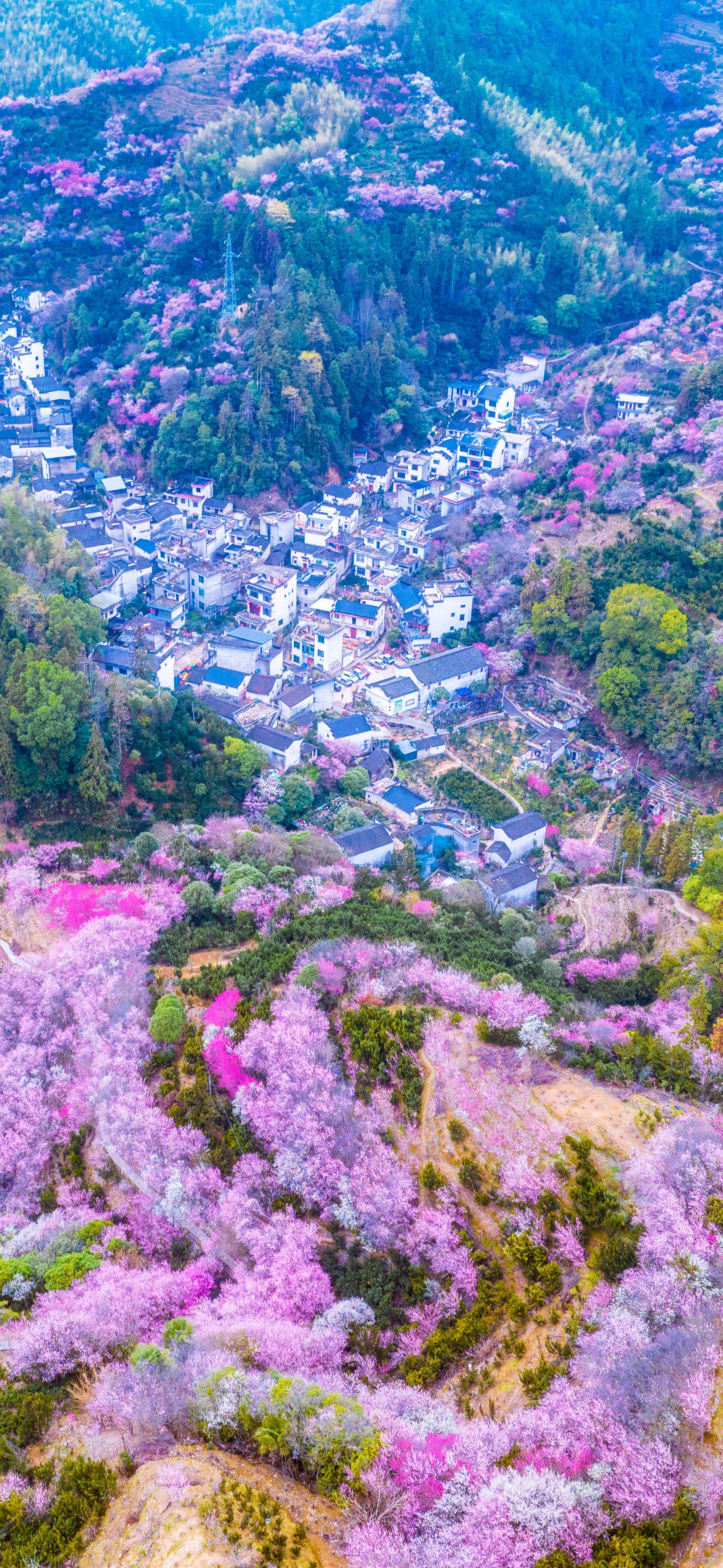 皖南星空很美,卖花渔村&石潭