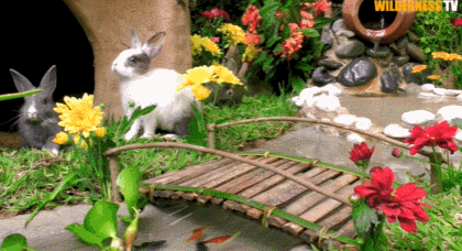 420_228gif 动态图 动图