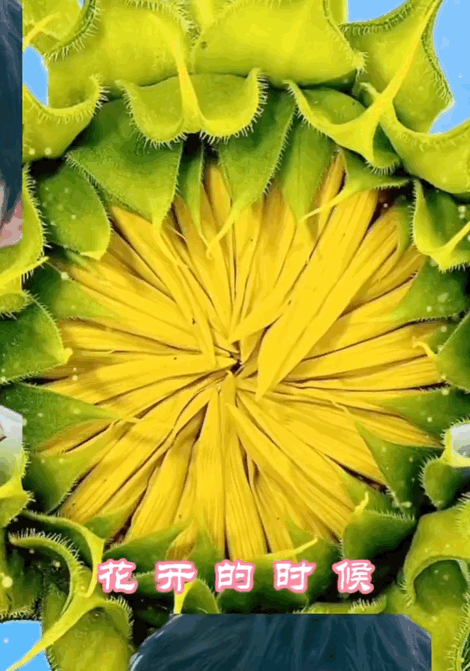 论土味还得看小丁的粉丝在线呼叫丁程鑫