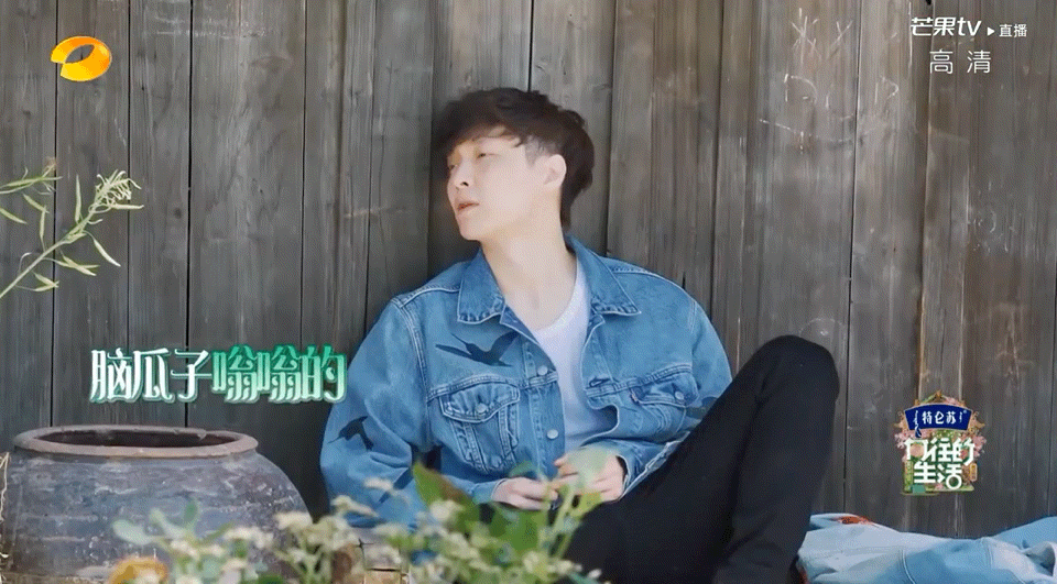 "男人帮"回忆杀!黄渤做客《向往》,与张艺兴,黄磊上演三角戏