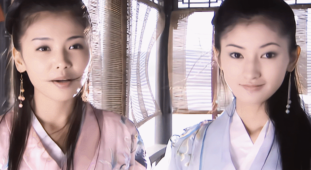 天山童姥的俩侍女,一个梅剑,一个竹剑,都是清秀小美女.