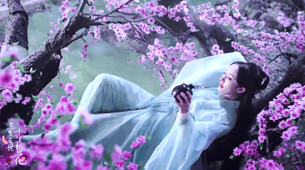 看剧的时候看到海市坐在霁风树下那一幕