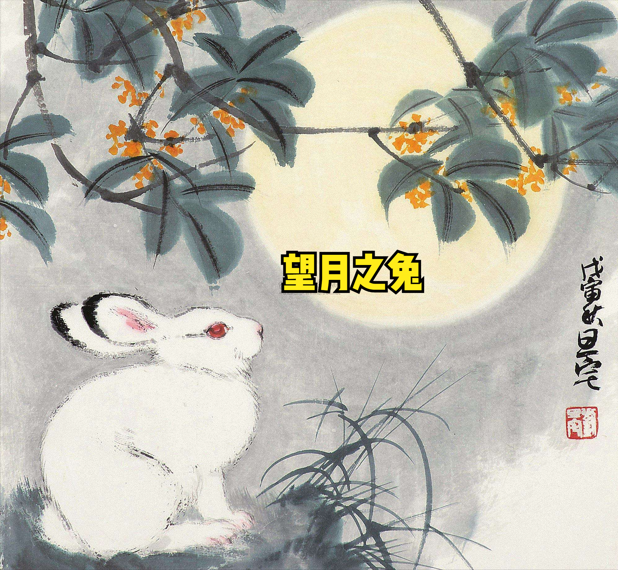 生肖兔的虎年运势如何呢(属兔虎年运气)