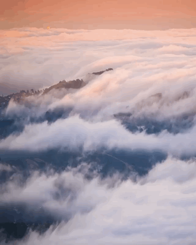 640_800竖版 竖屏gif 动态图 动图