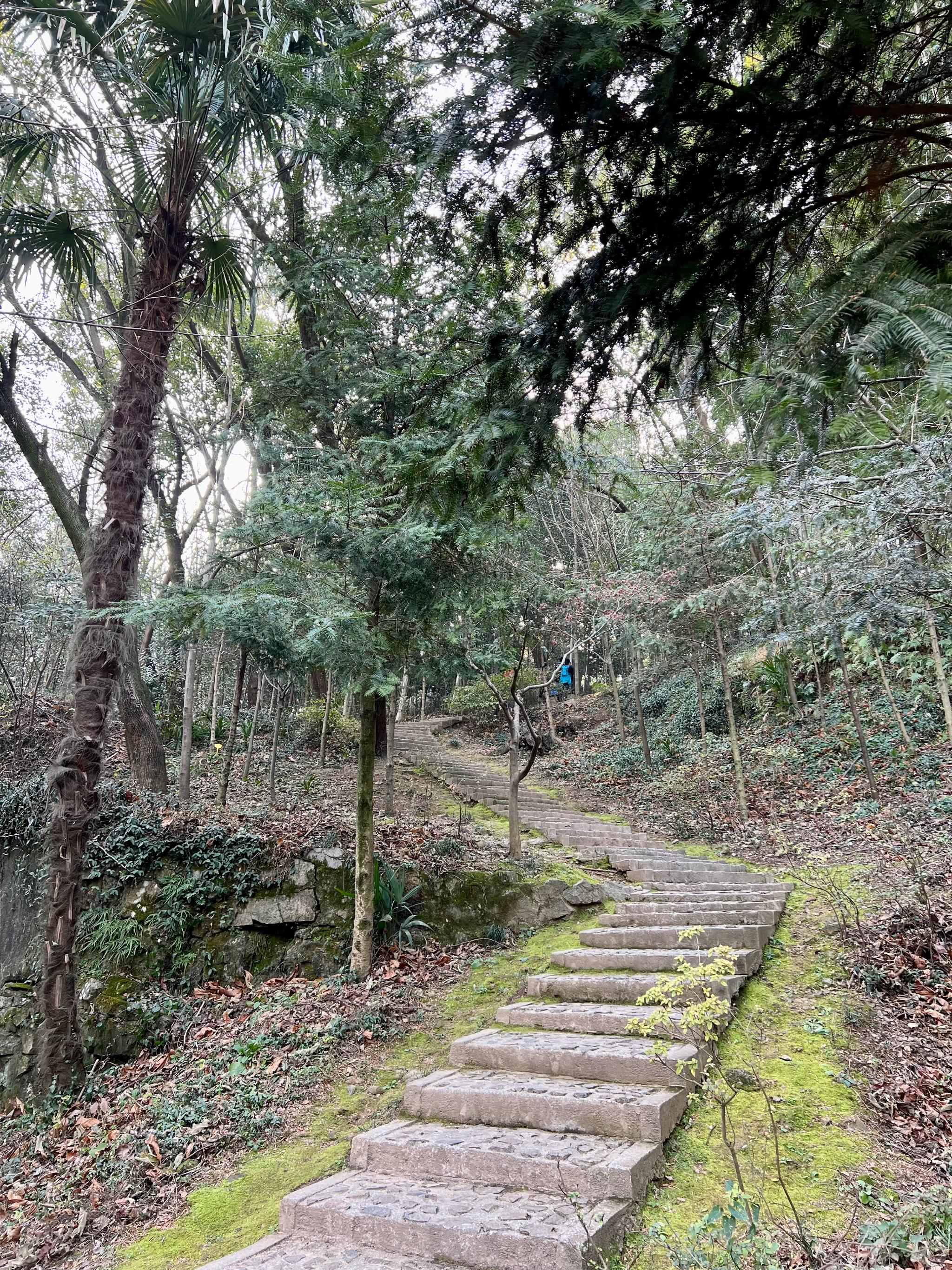 在上海海拔最高的天馬山遇見傾斜度超過比薩斜塔的護珠塔